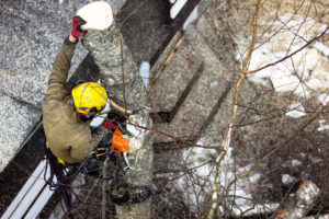 Удаление деревьев в Домодедово