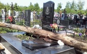Спил аварийных деревьев на кладбище