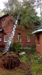 Удалить дерево Чеховский район
