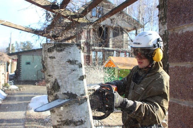 Спил деревьев в Солнечногорском районе